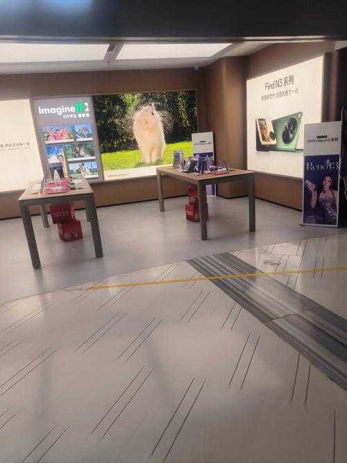 深圳市华为手机专卖店的用户评价与口碑分析