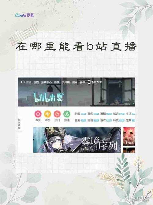 深夜偷偷看B站直播指南