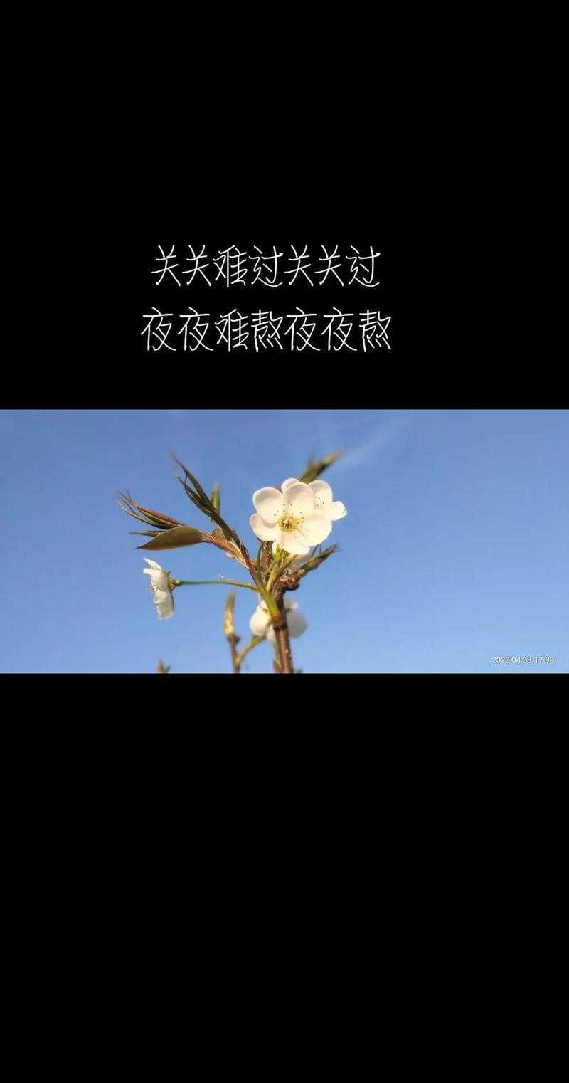 深夜情感话题：夜聊心事与人生感悟