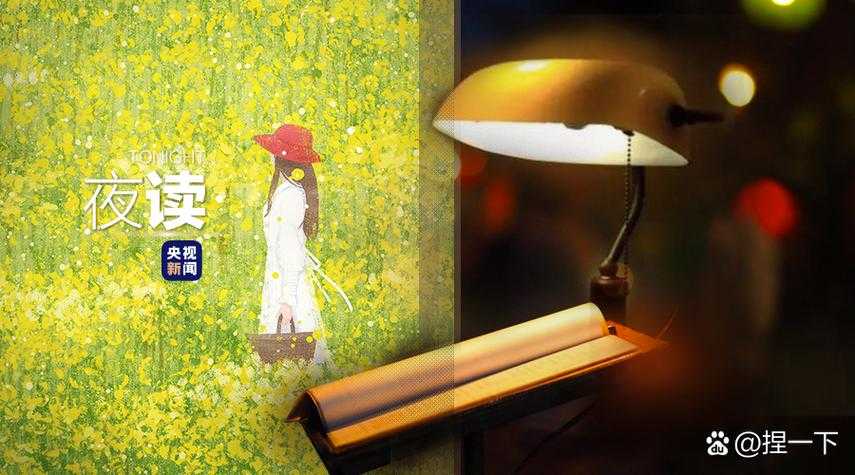深夜独享B站:一个人的治愈时光