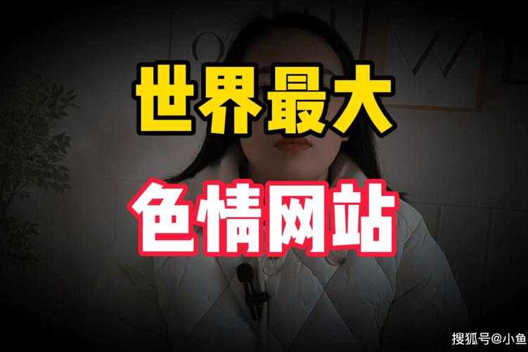 深夜福利：老司机必备的神秘网站合集