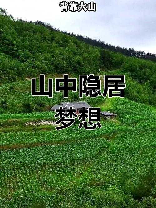 深山隐居生活管理规定与注意事项