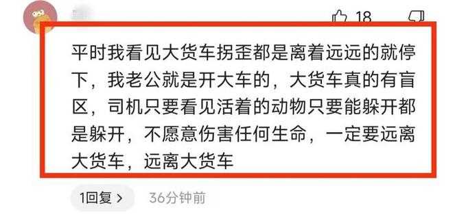 18轮上的青春葬礼，车轮碾碎的16岁人生与父爱困局