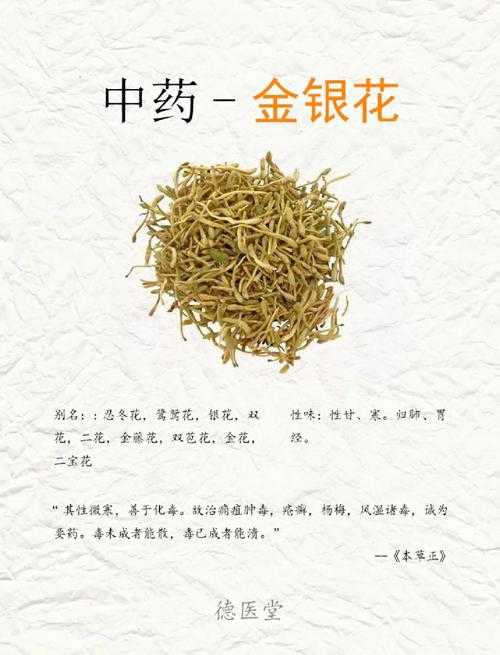 深度开发POP金银花提取工艺及应用研究