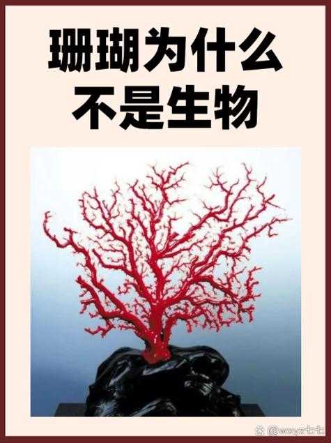 水母聚集的科学解释