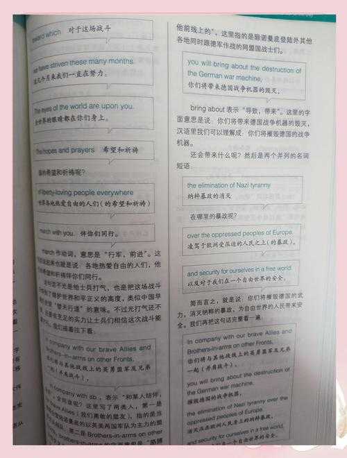 深度解析《诺曼底登陆》破解版苹果版的策略