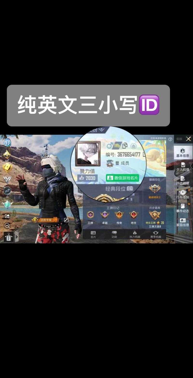深情番茄和平精英ID