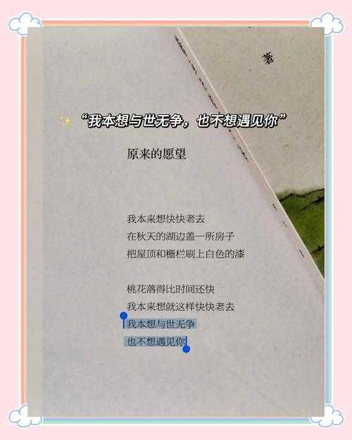深海悲歌：鲸鱼无声的求救与人类警醒