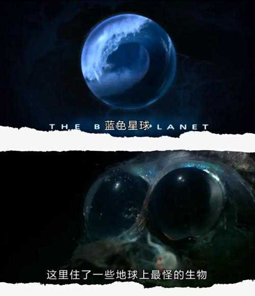 深海星光：探索神秘海底的璀璨生命
