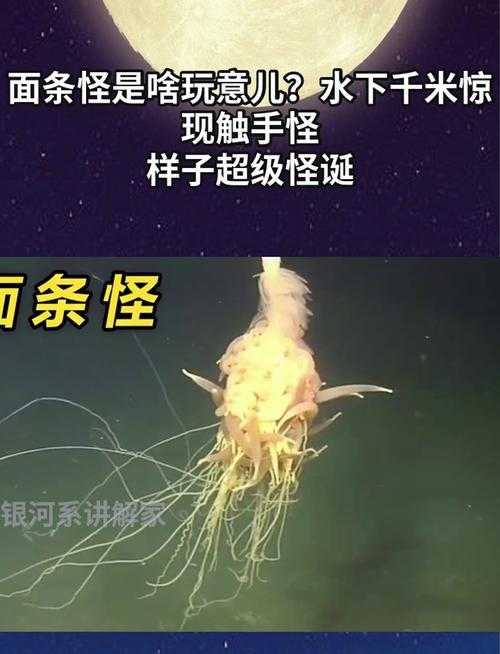 深海触手怪：揭秘海洋最神秘猎食者