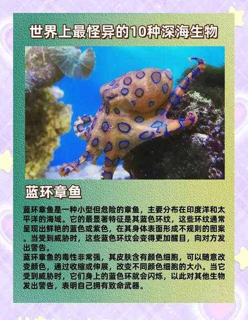 深海触手:揭秘海洋神秘生物的奇异世界