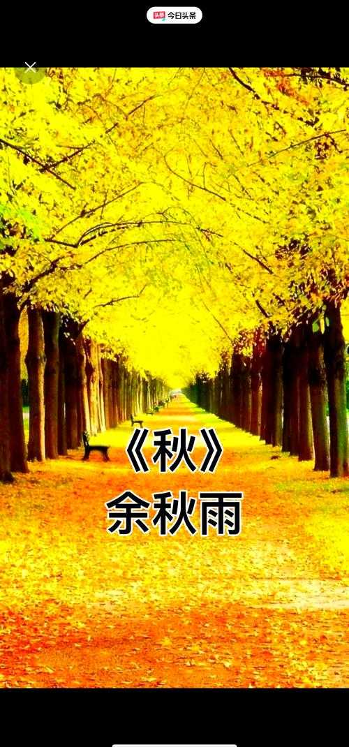 深秋依旧:季节流转中的诗意与温暖