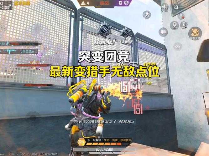 深秋和平精英突变团竞2倍速,精英,变者 突变