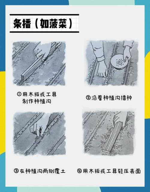 深耕细作妙妙：高效种植技巧全解析