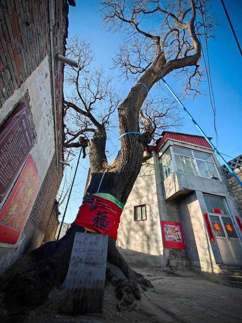 青砖黛瓦间流淌的时光密码