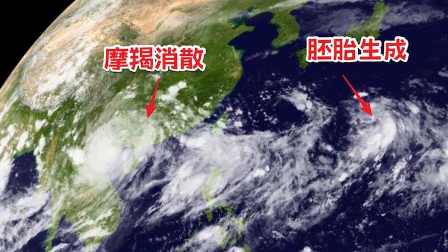 台风韦帕过境后的潮汐生态重构