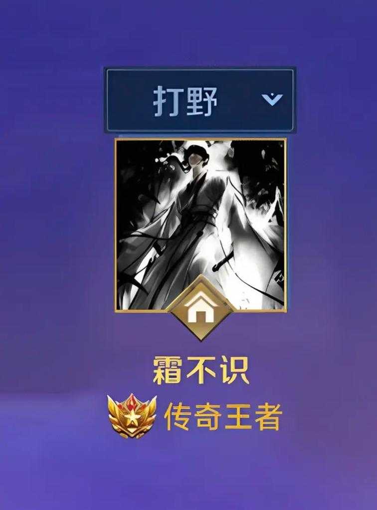 清冷网名王者荣耀英雄 带着 玩家,荣耀