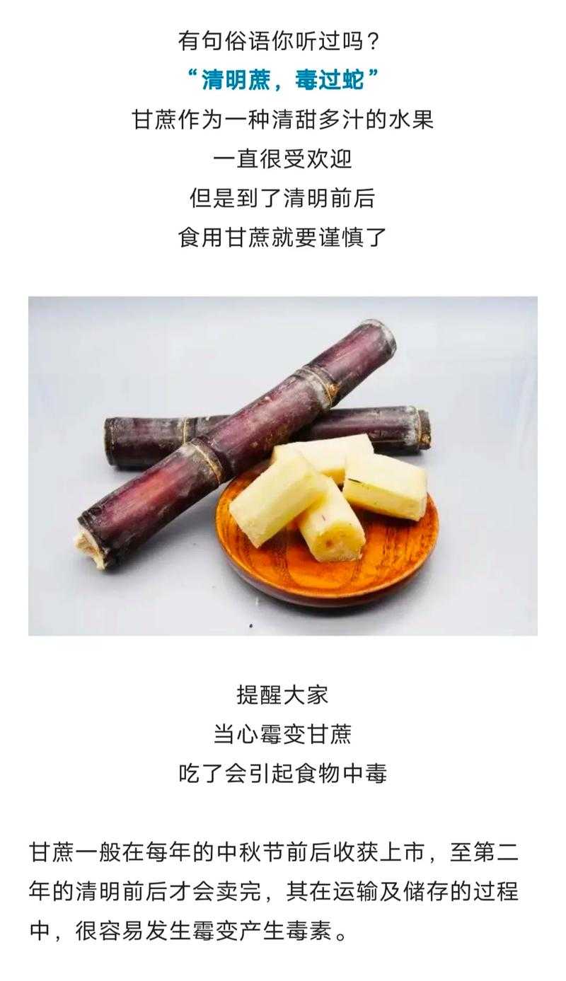 清明后甘蔗还能吃吗?专家解答食用禁忌