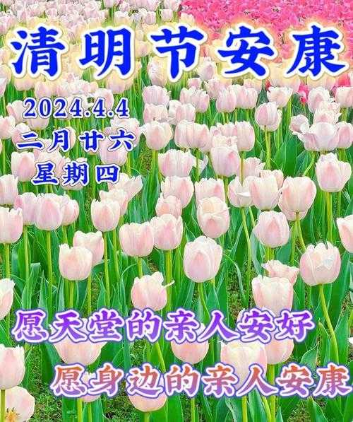 清明节祝福语:安康还是快乐更合适?
